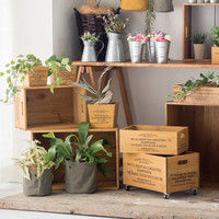 ヘッズ デイリーワークスウッドキャスターボックス-L DWC-WOL 1セット（2個：1個×2パック）（直送品）