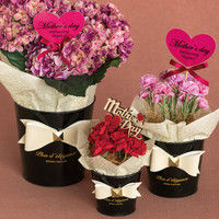 ヘッズ エナメルリボンブリキポット-M  EN-BPOM 1セット（12個：6個×2パック）（直送品）