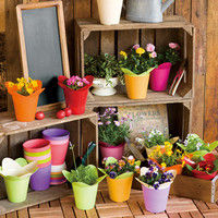 ヘッズ 花型ポット/オレンジ-4 FWS-POO4 1セット（100個：20個×5パック）（直送品）