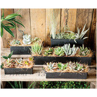 ヘッズ インダストリアルブリキトレイ-4  ID-BGT4 1セット（10個：10個×1パック）（直送品）