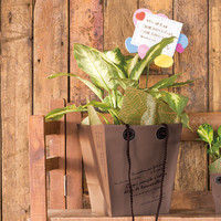 ヘッズ PPポットバッグ(ブラウン)-M(100枚) PBB-M 1セット(100枚:10枚×10パック)（直送品）