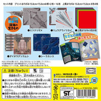 トーヨー MOVE深海の生きものおりがみ 036506 1セット(3冊)