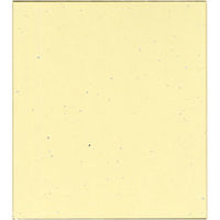 菅公工業 色紙 奉書紙 パック入 ケ001P 5枚（直送品）