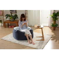 セルタン ビーズクッション QUBE キューブ XLサイズ セキセイインコ 1個（直送品）