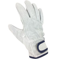 小野商事 牛床マジック LL 12双セット 1セット（12双）