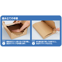 森紙業　容量可変ダンボール　バリオリケース　ミシン目あり （60枚：20枚入×3梱包）