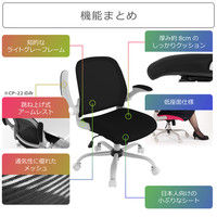 【車上渡し】Bauhutte （バウヒュッテ） オフィスチェア The・ジム CP-22-GN 1脚（直送品）