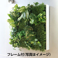 タカショー 壁面アレンジH フレーム付 GD-201HF（直送品）
