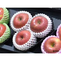 パックスタイル 使い捨て 野菜 果物容器 PS BPフルーツ 3M 00441161 1包：600枚（100×6）（直送品）