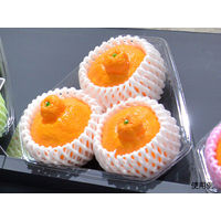 パックスタイル 使い捨て 野菜 果物容器 PS BPフルーツ 3M クリア 00441162 1包：600枚（100×6）（直送品）