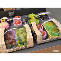 パックスタイル PS BPアソートボックス2P ナチュラル 00463528 1包：50枚（10×5）（直送品）