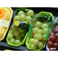 パックスタイル 使い捨て 野菜 果物容器 PS BPフルーツ 2M グリーン 00470088 1包：1000枚（100×10）（直送品）