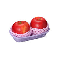 パックスタイル 使い捨て 野菜 果物容器 PS BPフルーツ 2M ムラサキ 00470089 1包：1000枚（100×10）（直送品）