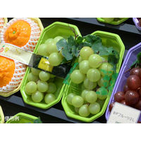 パックスタイル 使い捨て 野菜 果物容器 PS BPフルーツ 2L グリーン 00470091 1包：1000枚（100×10）（直送品）