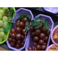 パックスタイル 使い捨て 野菜 果物容器 PS BPフルーツ 2L ムラサキ 00470092 1包：1000枚（100×10）（直送品）