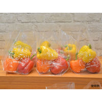 パックスタイル PSスタンドバッグ No.2B 00506562 1包：2000枚（100×20）（直送品）