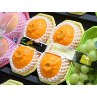 パックスタイル PS BPフルーツ 2L イエロー 00506566 1包：1000枚（100×10）（直送品）