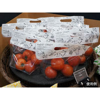 パックスタイル PS チャック付スタンド袋S MS白 CH2621 00527942 1包：500枚（50×10）（直送品）