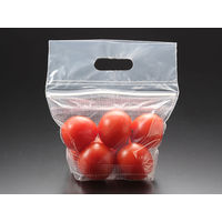 パックスタイル ワリフスタンドバッグ 20-22 00588492 1包：2000枚（50×40）（直送品）