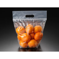 パックスタイル ワリフスタンドバッグ 23-26 00588493 1包：1500枚（50×30）（直送品）