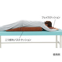 アズワン 腹臥位用 フェイスクッション 7-3456-01 1個（直送品）