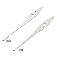 グリーンベル 歯垢・ヤニとり 極薄 QQ-D81 1個 0-6467-12（直送品）