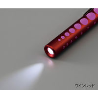 アイワマックコーポレーション ミニ白色LEDアルカプッシュライト 黒 7-4904-16 1本（直送品）