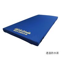 グローバル産業 ブレイラハイブリッド ケアマットレス 910×1950×80mm BRHM-910R 1枚 7-1516-01（直送品）