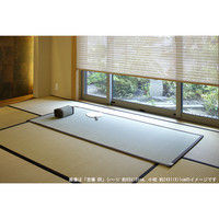 萩原 国産い草小枕 吉備（きび） ブラウン 約幅24×奥行11×厚さ11cm 1枚（直送品）