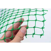 日本マタイ おすきにネット22mm角目(有結節)2X3mグリーン OSUKININET2-3GR 1セット(1枚×2)