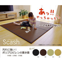 イケヒコ・コーポレーション スカッシュ GN 約82×82×1.7cm 1110460000000 1セット(4枚入)