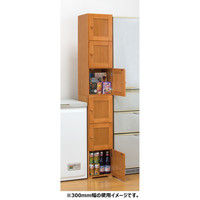 ファミリー・ライフ 桐製すきま収納庫6ドア 幅200×奥行300×高さ1800mm 1台（直送品）