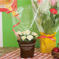 ヘッズ ギンガムチェックプリントカーリングリボンLB-2 GC-R2 1セット（10巻：1巻×10パック）（直送品）