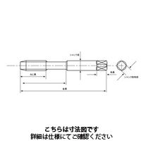 イシハシ精工 ハンドタップ SKS M 7.0X1.0 中 HT-SKSM7.0X1.0#2 1本（直送品）