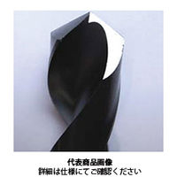 イシハシ精工 PーEXD4.8 エクストラ正宗ドリル 4.8 (2ホンパック) 1パック(2本)（直送品）