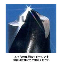 イシハシ精工 PーMTC3.7 武蔵ツインカッター (パック) 3.7 1パック(1本)（直送品）