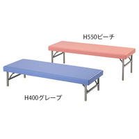 アズワン 診察台(折りたたみ脚) グレープ 650×1800×550 H550 1台 7-3446-05（直送品）