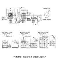 CKD レギュレータ 標準白色シリーズ R2000ーWシリーズ R2000 R2000-10-W-L-B3W 1個（直送品）