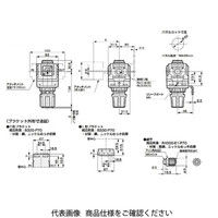 レギュレータ 標準白色シリーズ R3000ーWシリーズ R3000ー10ーNT8ーP70ーB3GY59 R3000-10-NT8-P70-B3GY59（直送品）