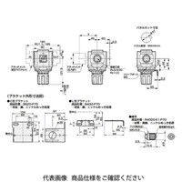 CKD レギュレータ 標準白色シリーズ R6000ーWシリーズ R6000 R6000-25-NT8-P70-GX59 1個（直送品）