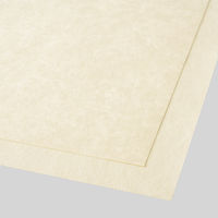 大直 コピー用紙 麻紙 自然色 A4 30枚入 206040410