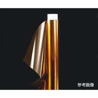 アズワン 熱可塑性ポリイミドフィルム 1パック(2枚入) 3-8010-03 1パック(2枚)（直送品）