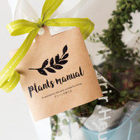 ヘッズ グリーンメンテナンスカード-7 FGM-C7 1セット（150枚：30枚×5パック）（直送品）