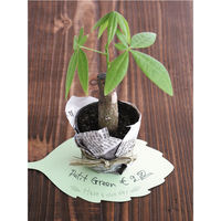 ヘッズ リーフダイカットカード-1 LE-DC1 1セット（300枚：30枚×10パック）