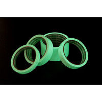 日東エルマテリアル 高輝度蓄光テープ24mm×5m（JIS規格：JCクラス） JC-D-24-5 1セット（2個）（直送品）