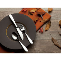 トーダイ XM-7（18-8） ボーノ ソースレードル 005442 1包：12本（直送品）