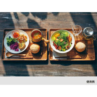 トーダイ KDS.177-L KEVNHAUN(ケヴンハウン) ランチトレイ 3137177L 1セット(1個×5)