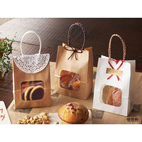 パックタケヤマ ウィンドウミニバッグ 茶無地 赤 XZT65107 1包：25枚×4（直送品）