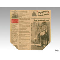 大阪ポリヱチレン販売 ヨーロピアン柄亀甲袋No.413（茶） 2027 1包：100枚×10（直送品）