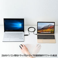 サンワサプライ ドラッグ&ドロップ対応Type-Cリンクケーブル(Mac/Wind KB-USB-LINK5 1個（直送品）